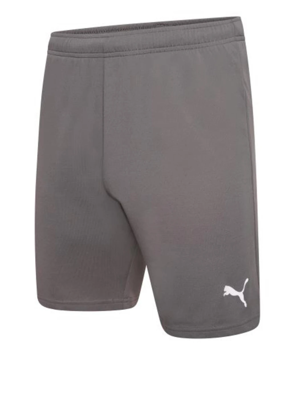 Шорты 704942-13 Puma teamRISE Short (326888190)