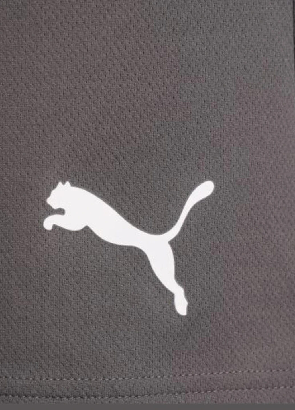 Шорты 704942-13 Puma teamRISE Short (326888190)