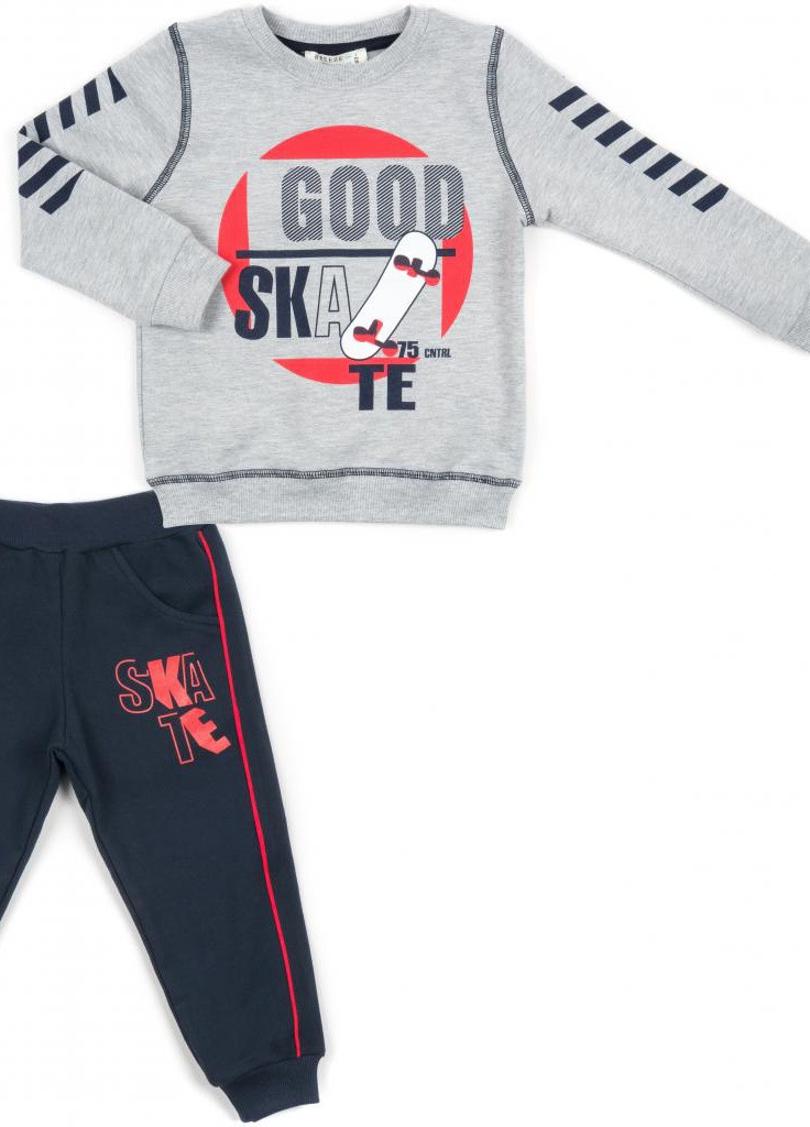Красный демисезонный костюм десткий "good skate" (13263-110b-gray) Breeze
