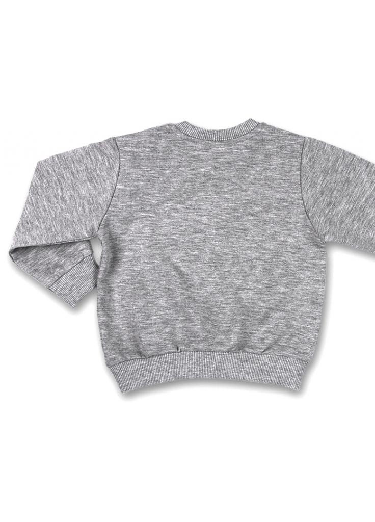 Сірий демісезонний костюм десткий з тигрики (7214-86 / b-gray) Breeze