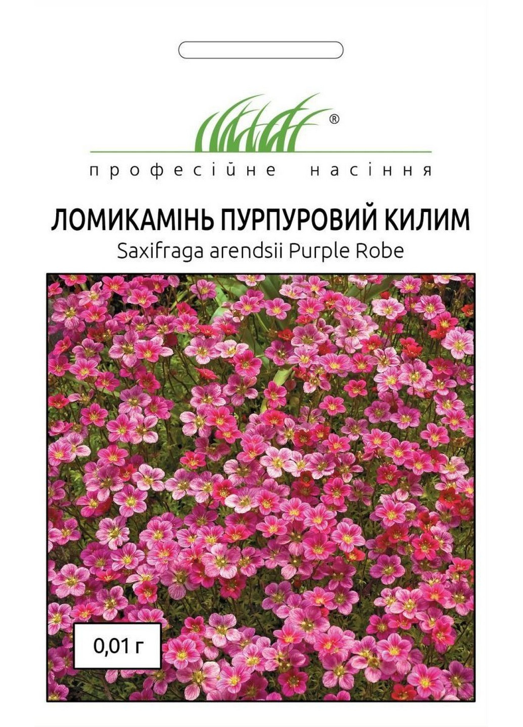 Насіння Ломикамінь пурпурний килим 0,01 г Професійне насіння (215963537)