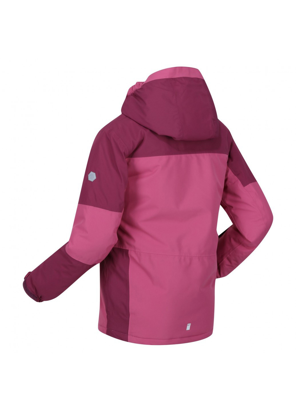 Куртка лыжная Regatta rkp253-vfl (254552124)