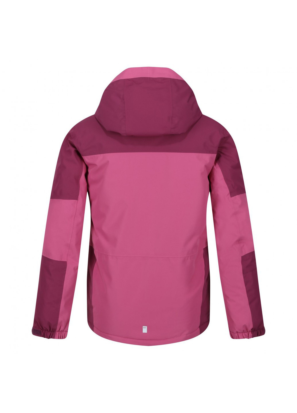 Куртка лыжная Regatta rkp253-vfl (254552124)