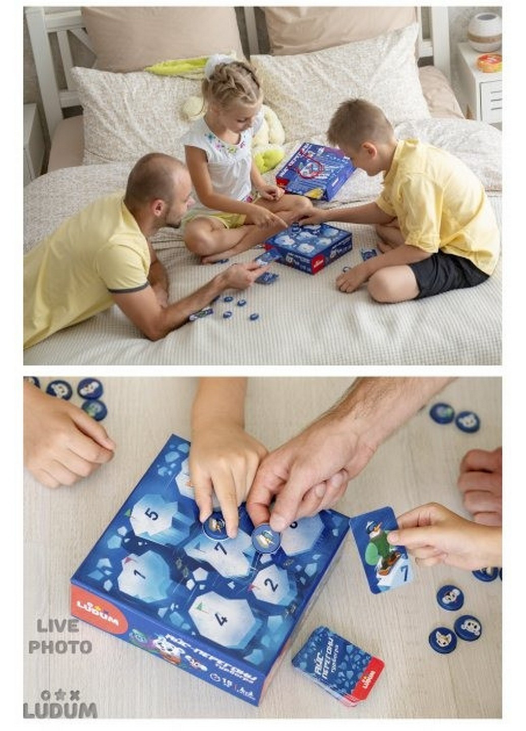 Настільна дитяча гра 6х20х20 см Ludum (253659861)