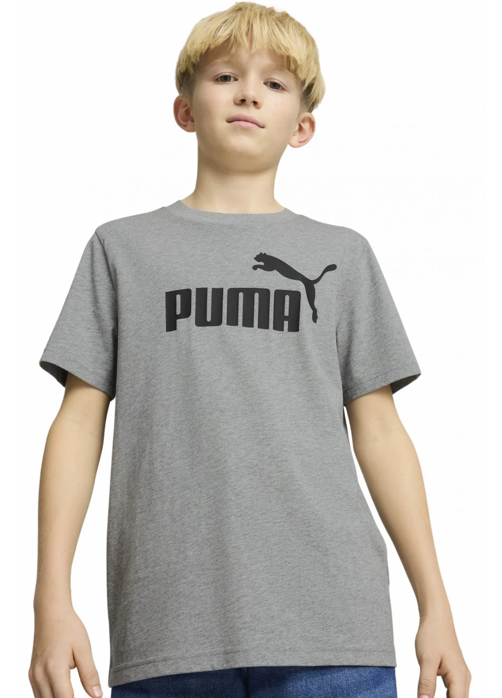 Сіра літня футболка Puma ESS No. 1 Logo Tee