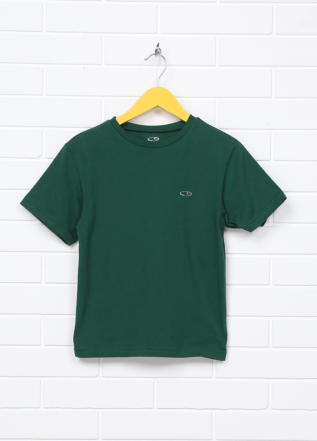 Темно-зеленая демисезонная футболка с коротким рукавом Champion