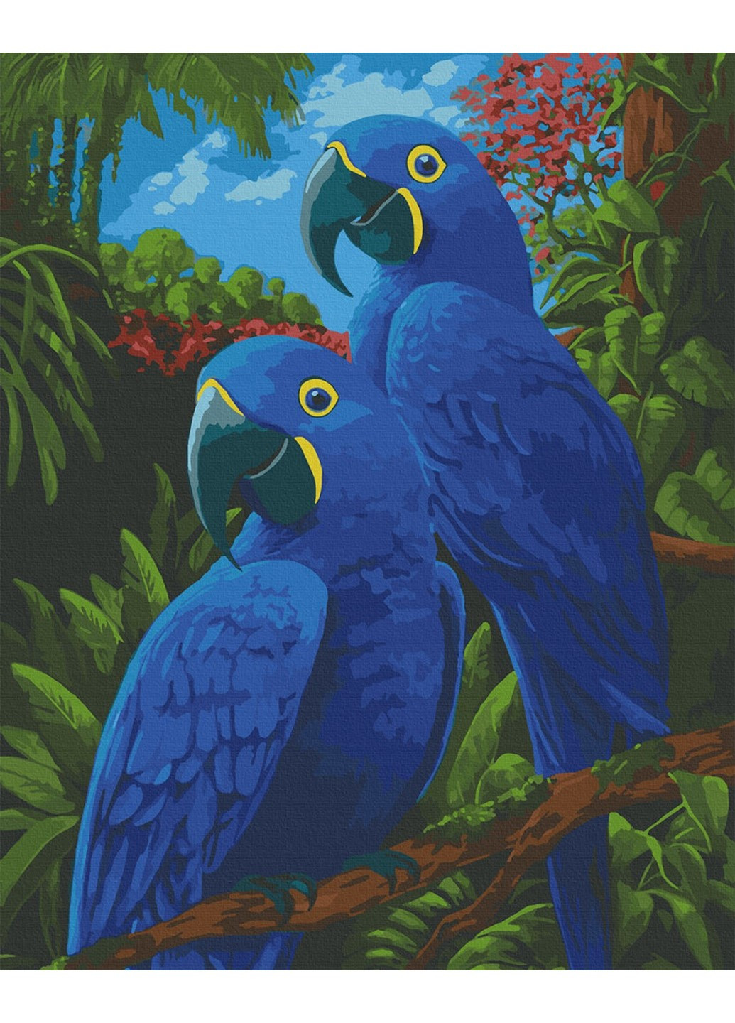 Картина по номерам "Голубые ары" 40х50 см 11639-AC Art Craft (236427629)