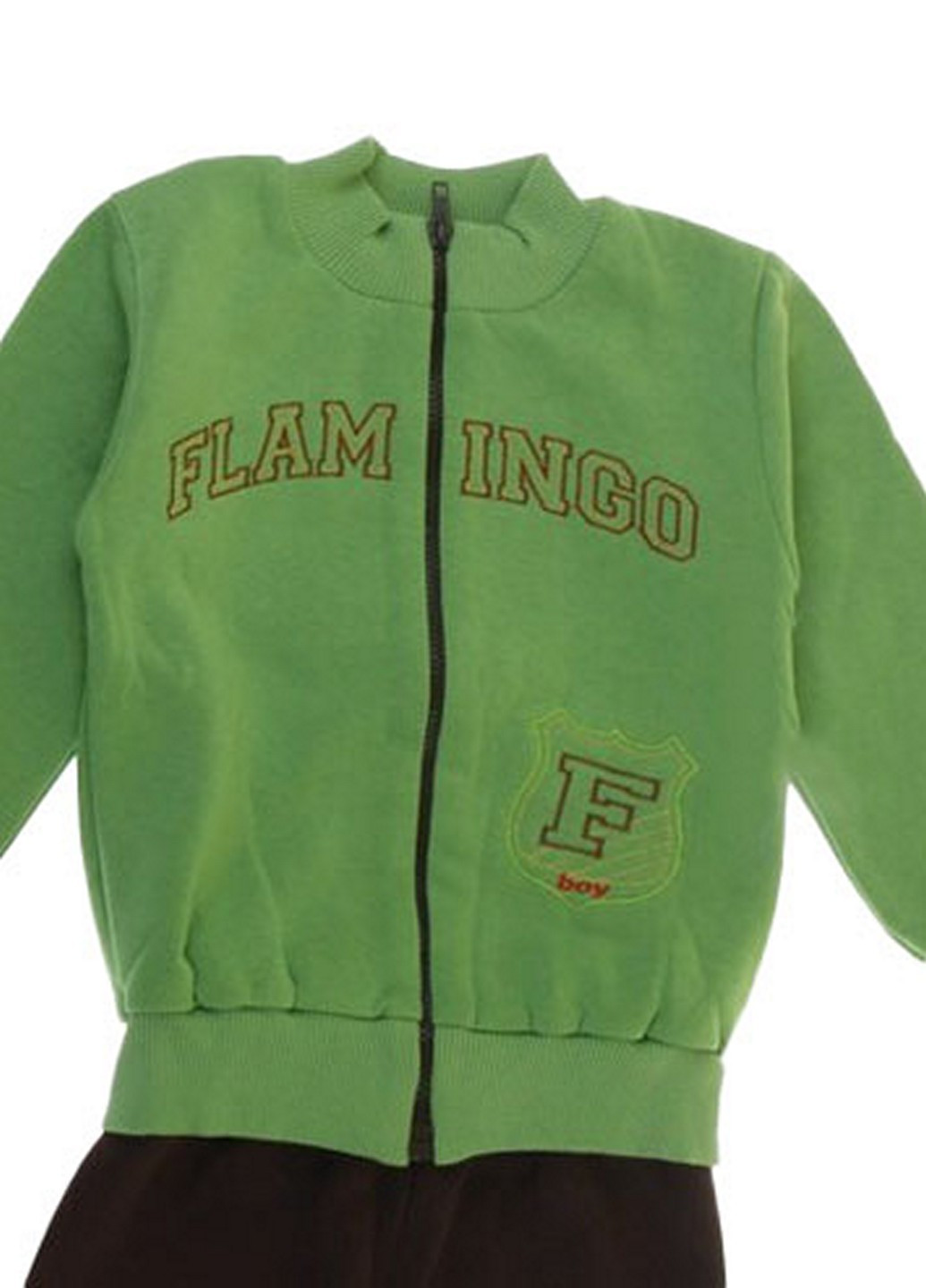 Зелений демісезонний костюм (бомпер, штани) Фламинго