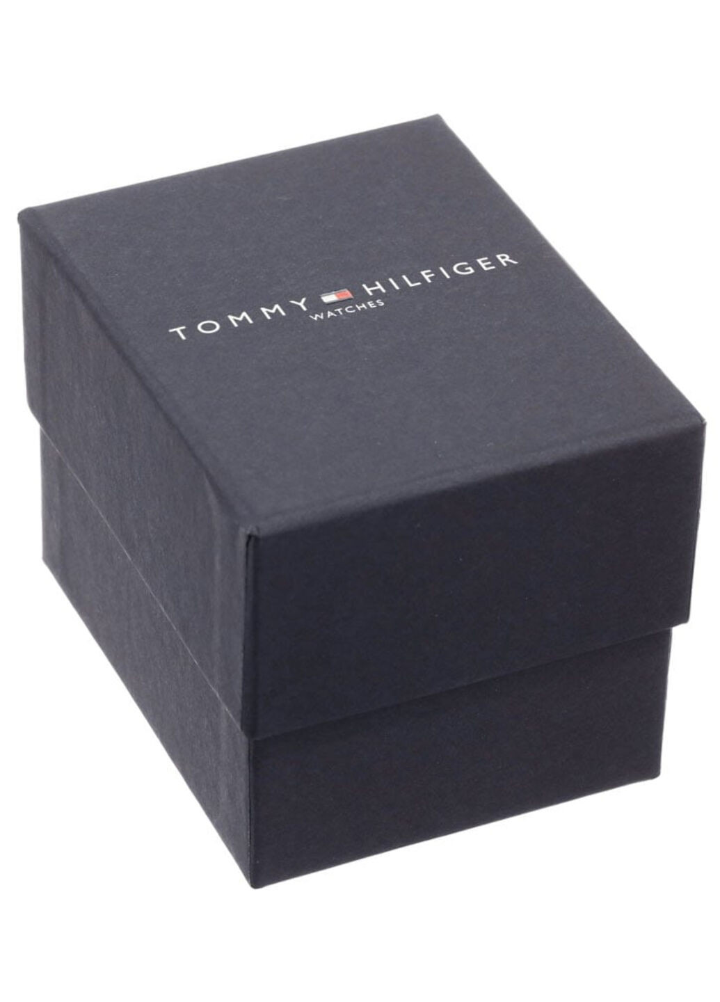 Часы наручные Tommy Hilfiger 1781449 (250304517)