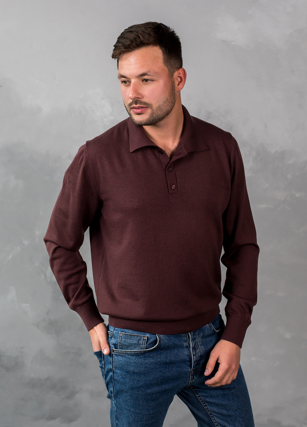 Сливовый демисезонный поло мужское пуловер Viviami