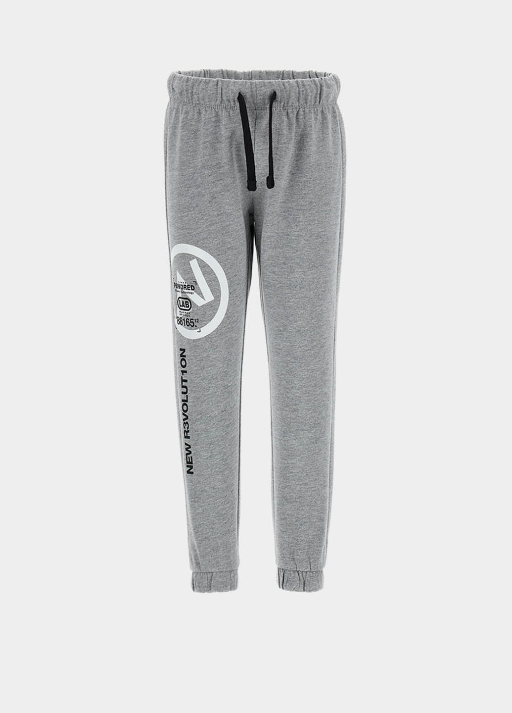 Серые спортивные демисезонные брюки джоггеры Original Marines