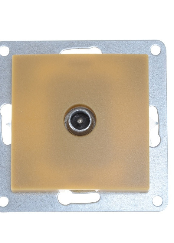 Розетка шампань NB-1TV iv Brille (253967248)