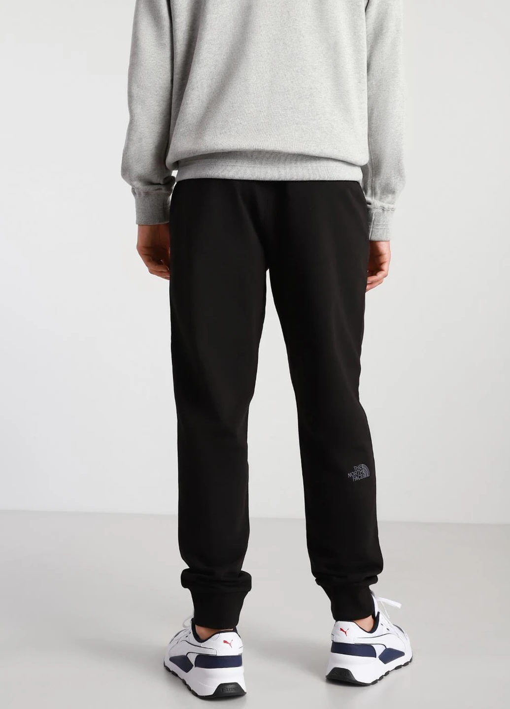 Штани NF0A4T1FJK31 The North Face NSE Light (327409080)