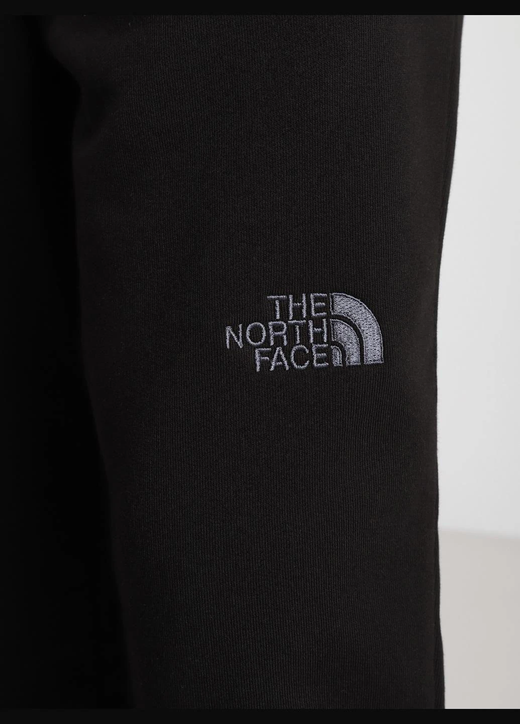 Штани NF0A4T1FJK31 The North Face NSE Light (327409080)