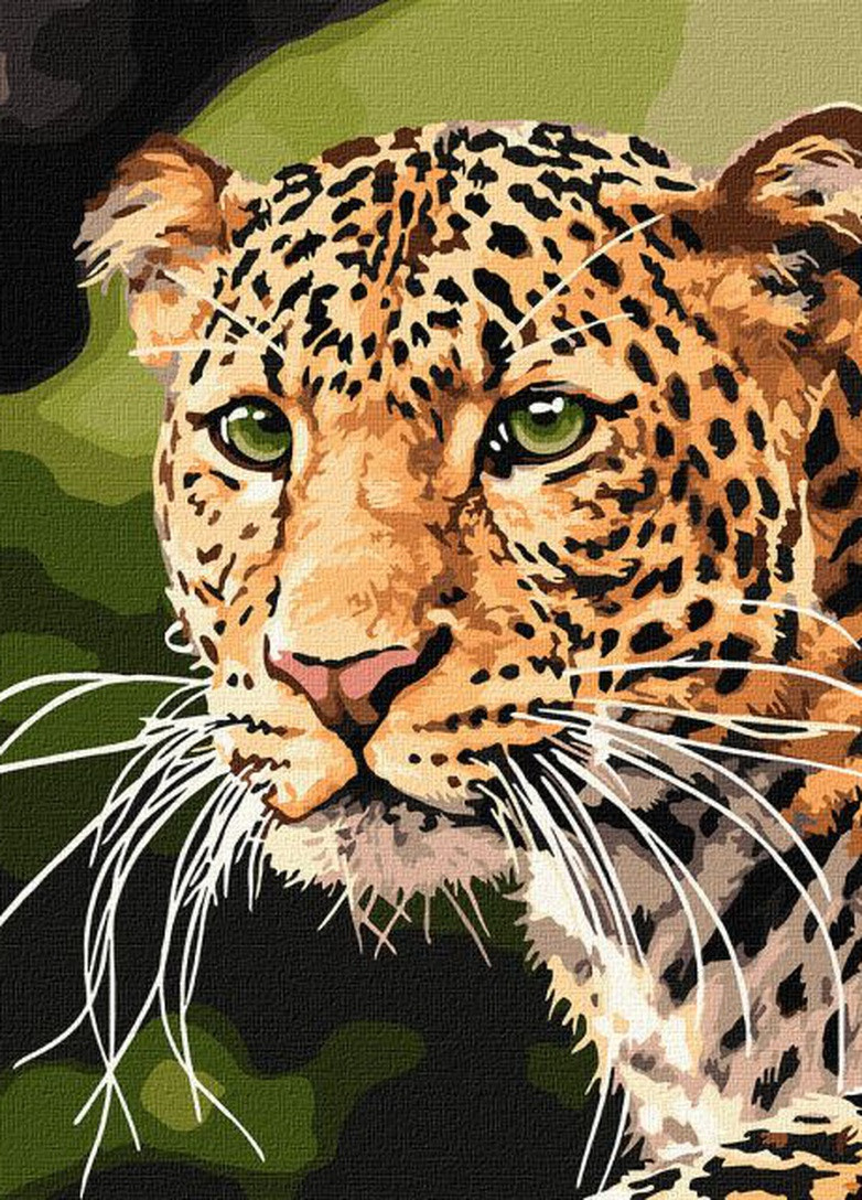 Картина за номерами. Зеленоокий леопард. 40х50см. KHO4322. Ідейка Идейка (253183329)