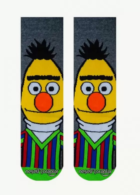 Шкарпетки Daily Берт з Вулиці Сезам Neseli высокие (212374936)