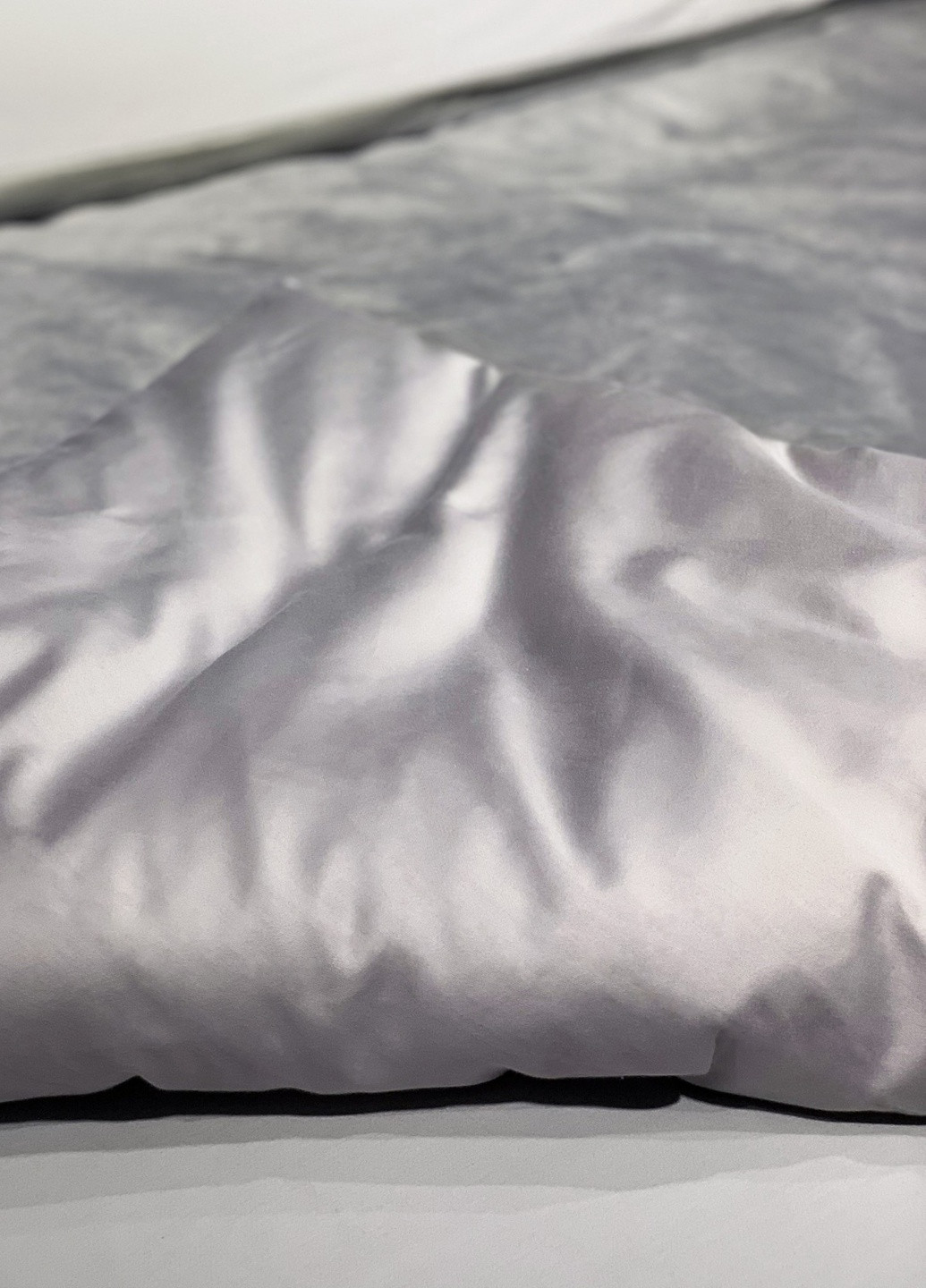 Комплект постільної білизни сатин-велюр Courage сріблястий (king size) PAGOTI (256519280)