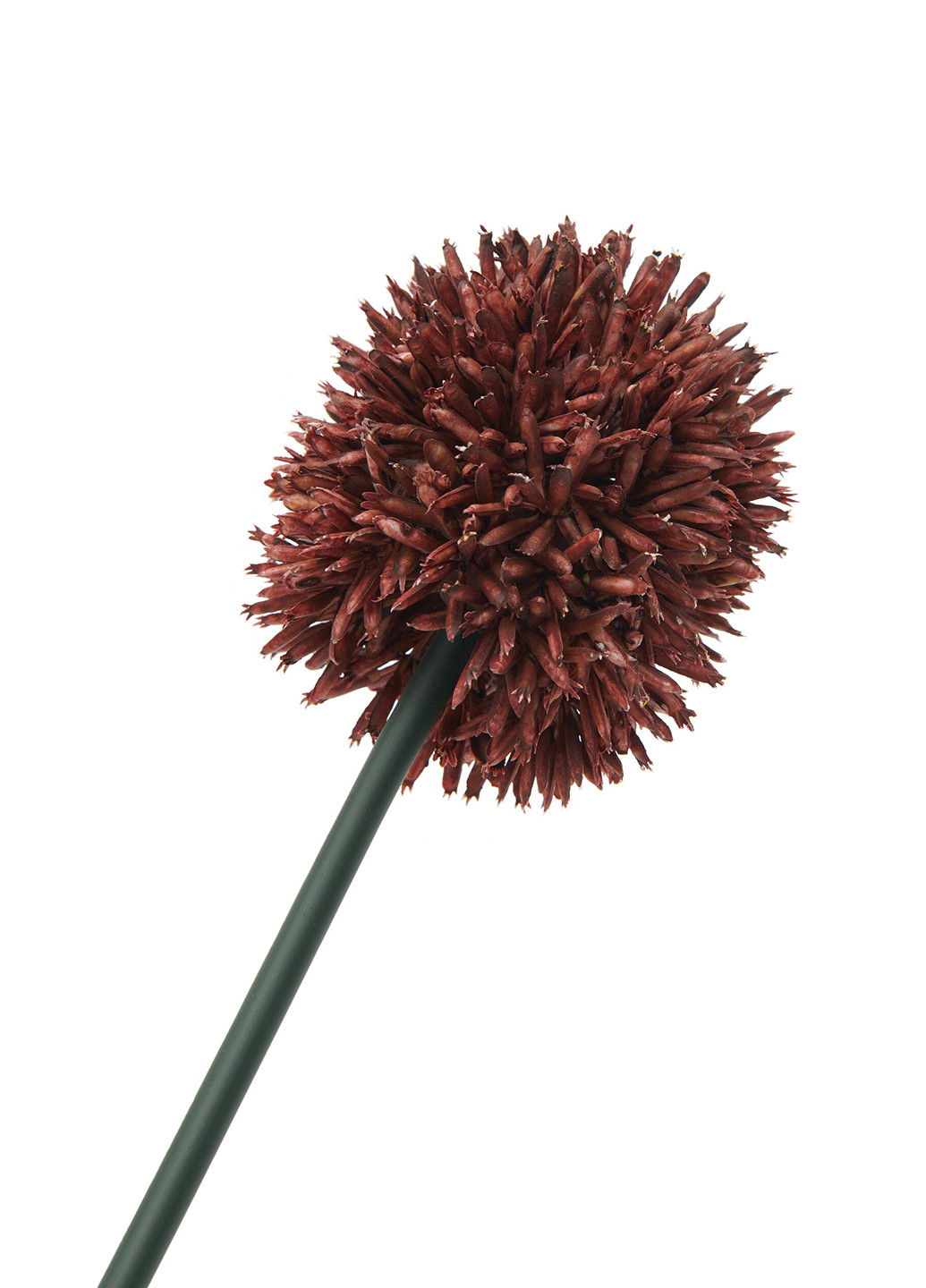 Искусственное растение, 60 см Sinsay (299854118)