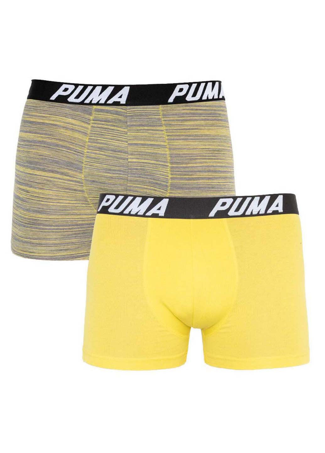 Трусы Puma bold stripe boxer 2-pack (253792657)