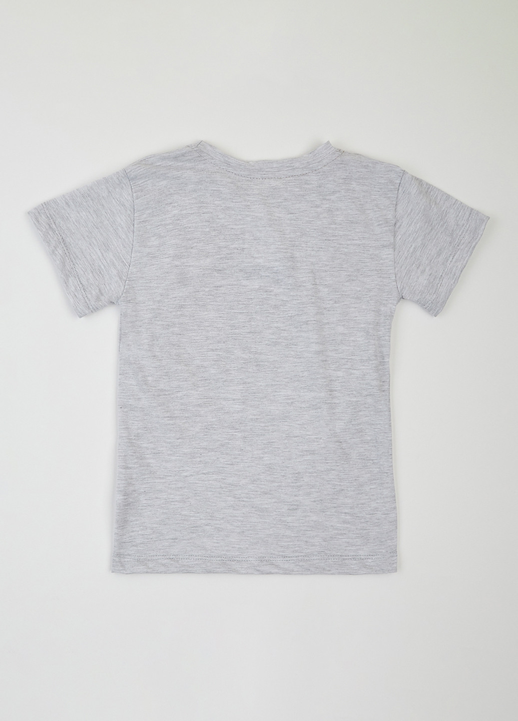 Светло-серая летняя футболка dexter's