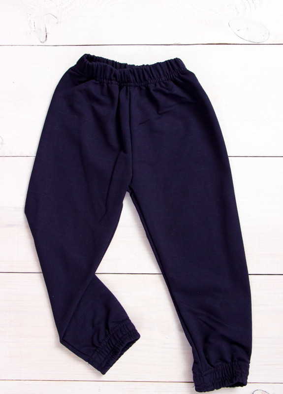 Темно-синие демисезонные брюки Носи своє