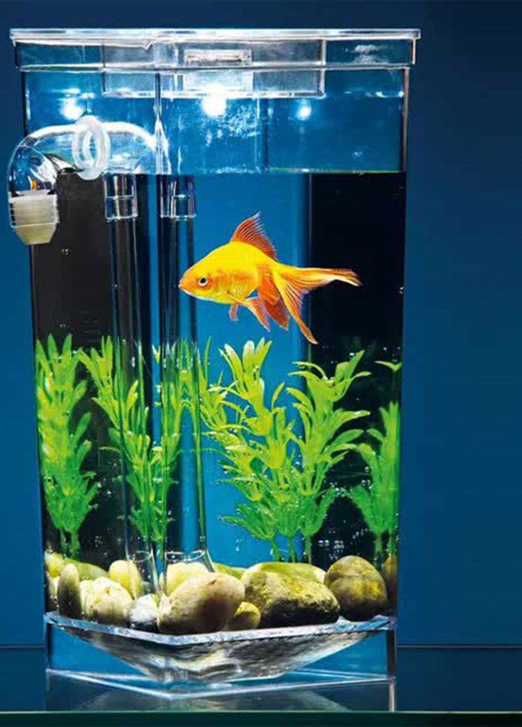 Самоочищається міні акваріум, 12х12х25 см TV-magazin однотонний безбарвний