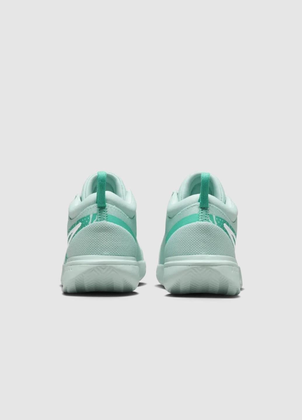 Кросівки FD1156-300 Nike Zoom Court Pro Cly м'ятні демісезони (317226100)