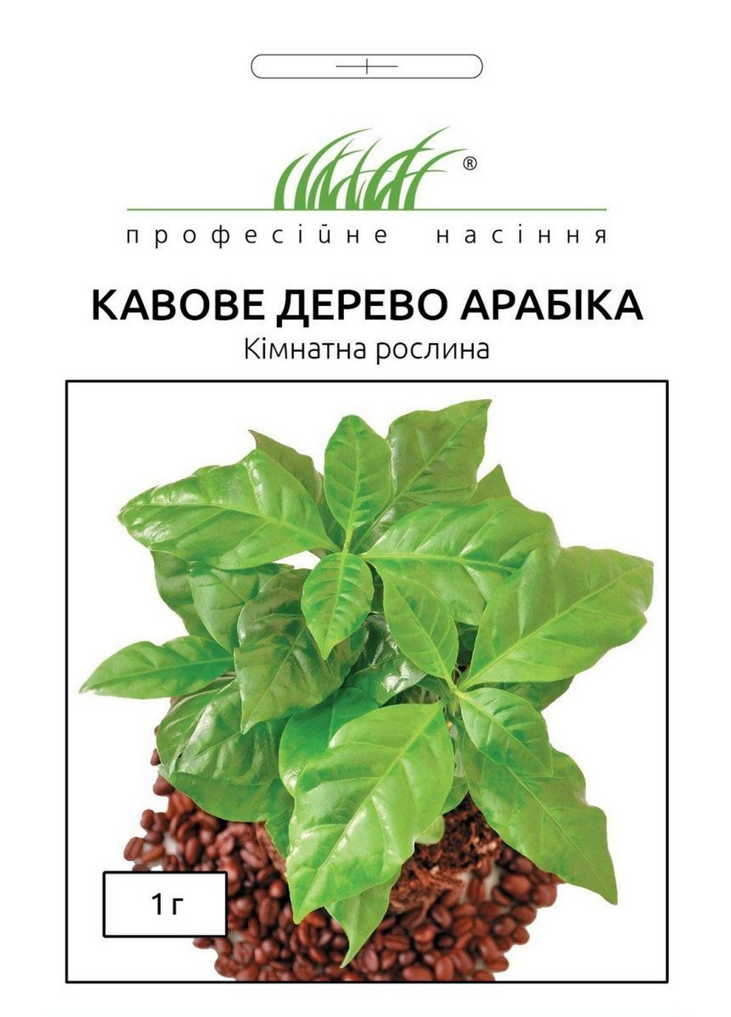 Семена Кофейное дерево Арабика 1 гр Професійне насіння (215963650)
