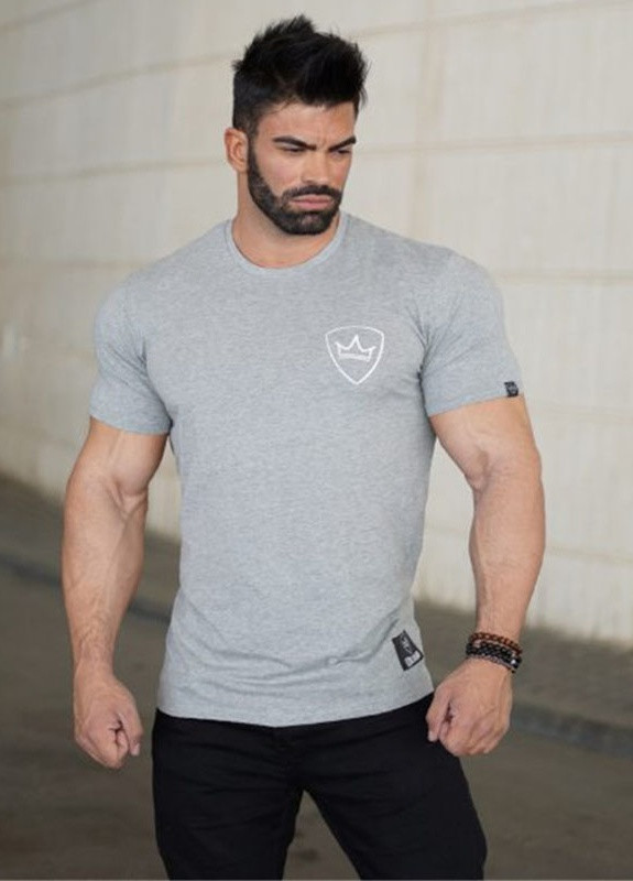 Серая мужская серая футболка MCET