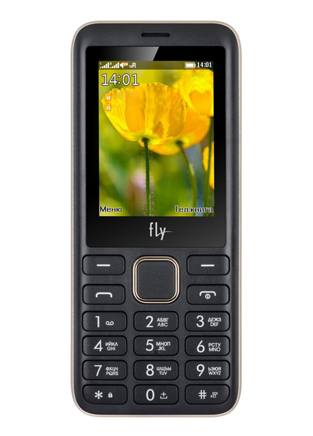 Мобильный телефон FLY ff249 champagne gold (132703171)