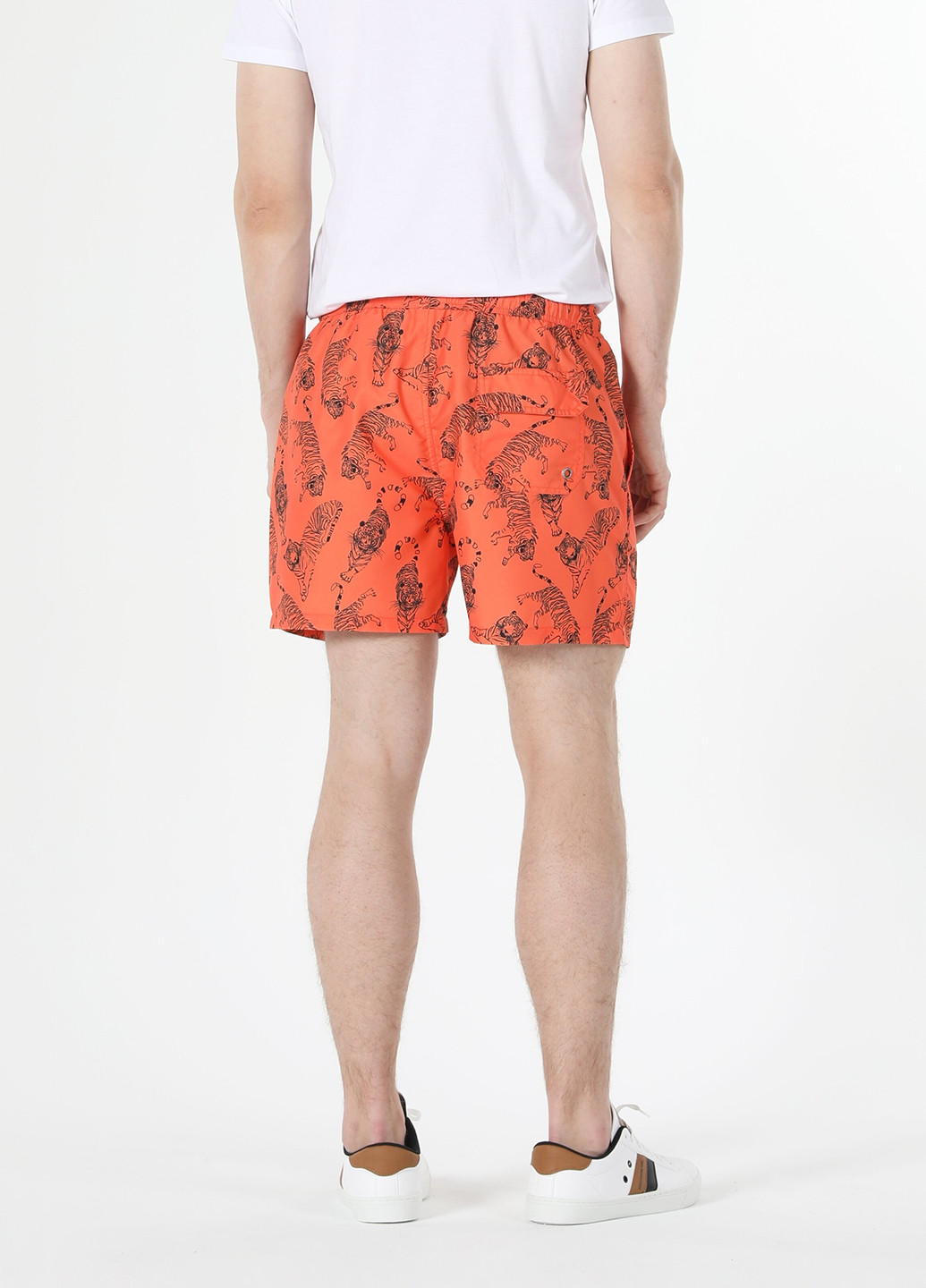 Шорти Colin's (254580763)