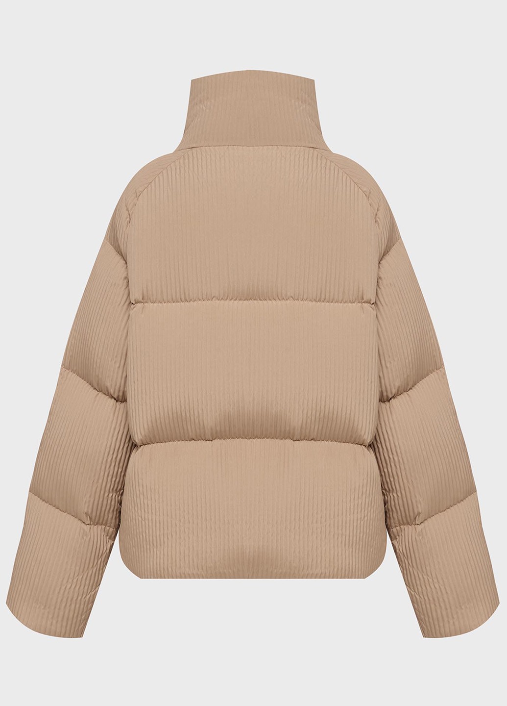 Бежевый зимний Пуховик PRPY