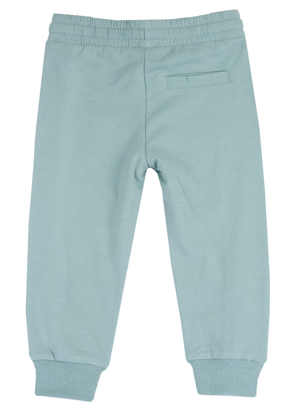 Бирюзовые спортивные демисезонные джоггеры брюки Chicco