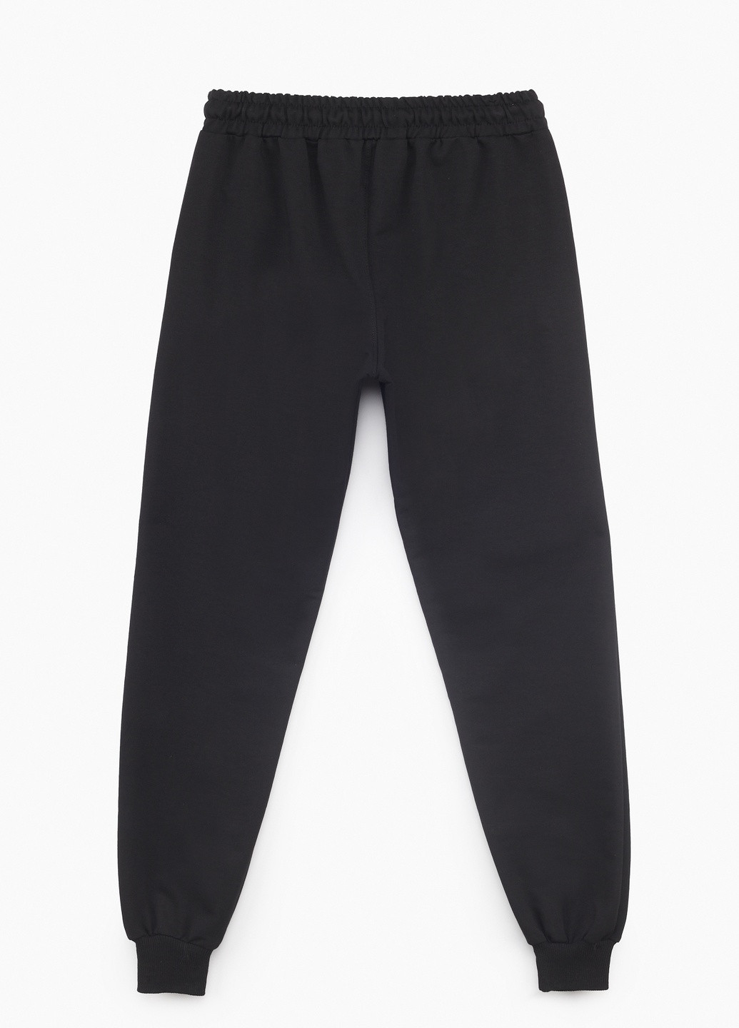 Спортивні штани Atescan (254063451)