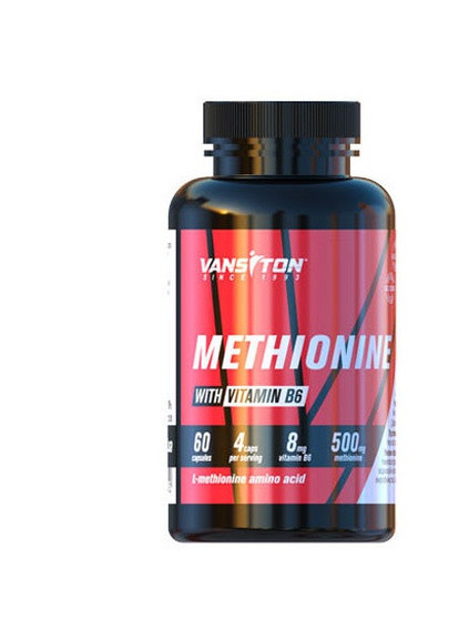 Methionine 500 mg 60 Caps Vansiton (256379970)