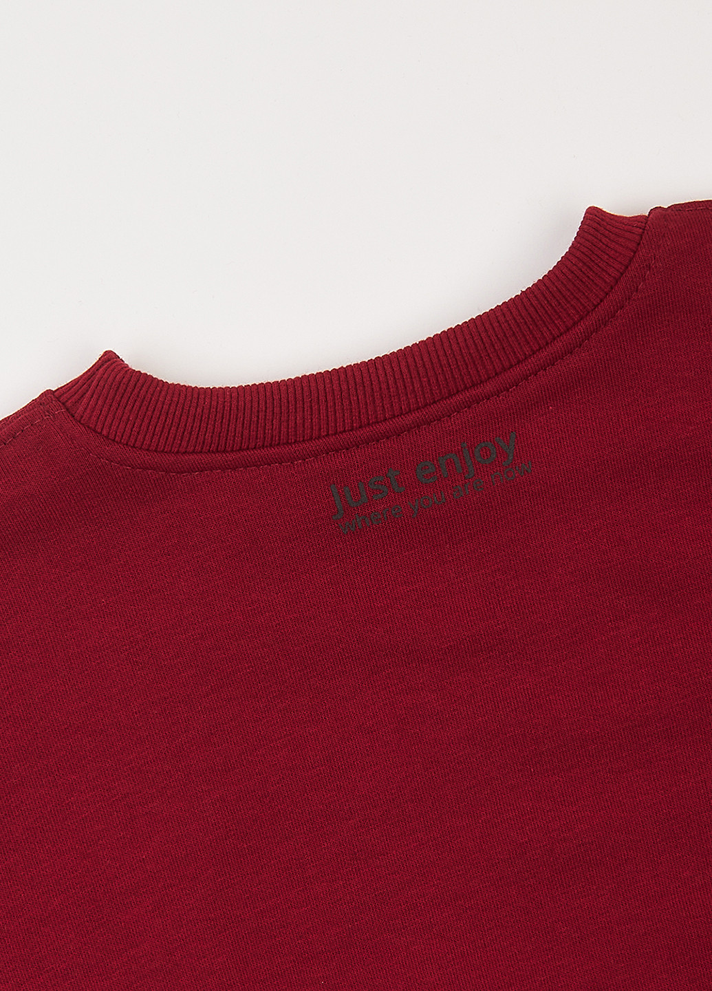 Бордовий світшот Фламинго однотонний без декору (303403378)