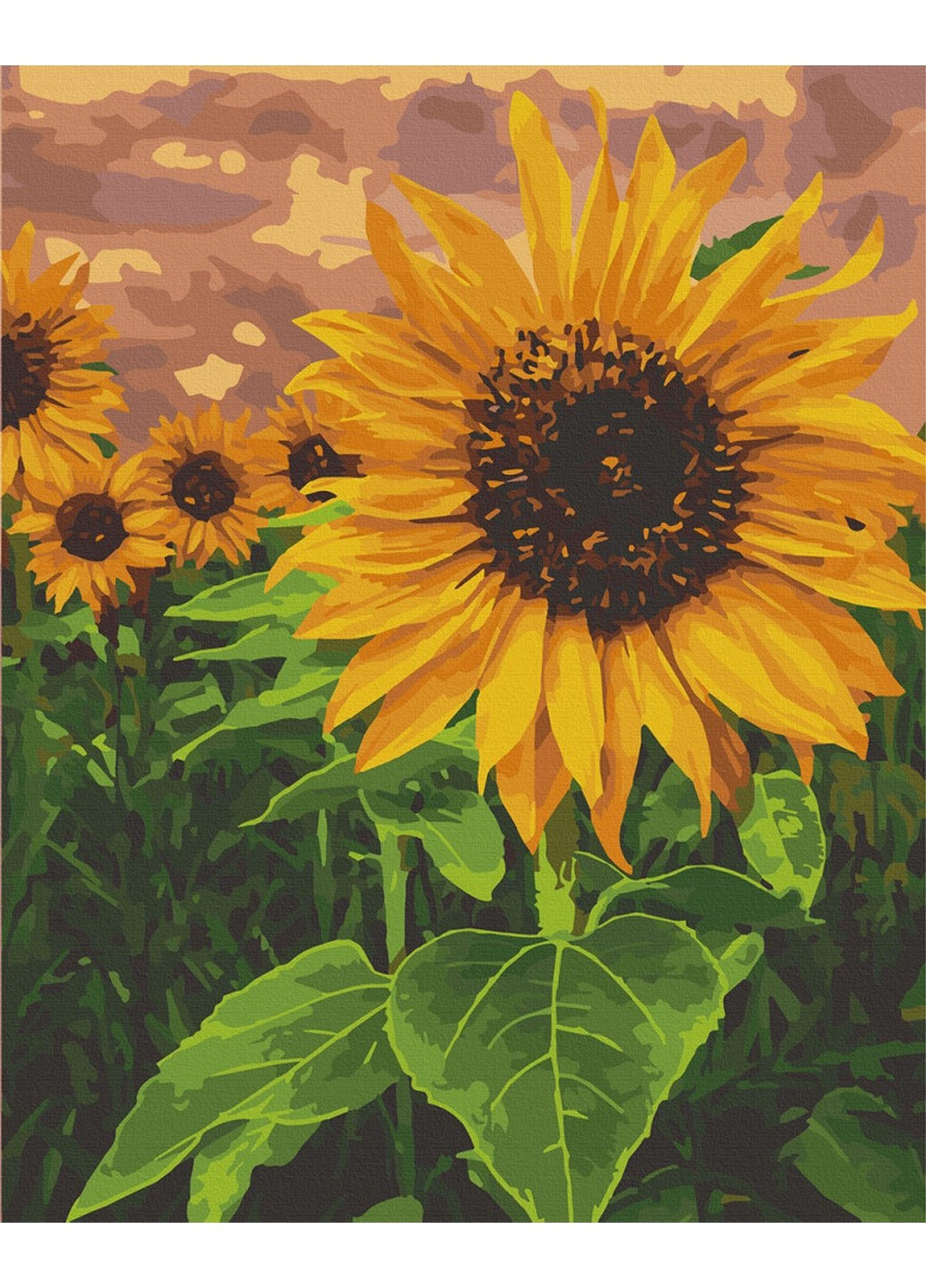 Картина за номерами "Яскравий соняшник" 40х50 см 13120-AC Art Craft (236427754)