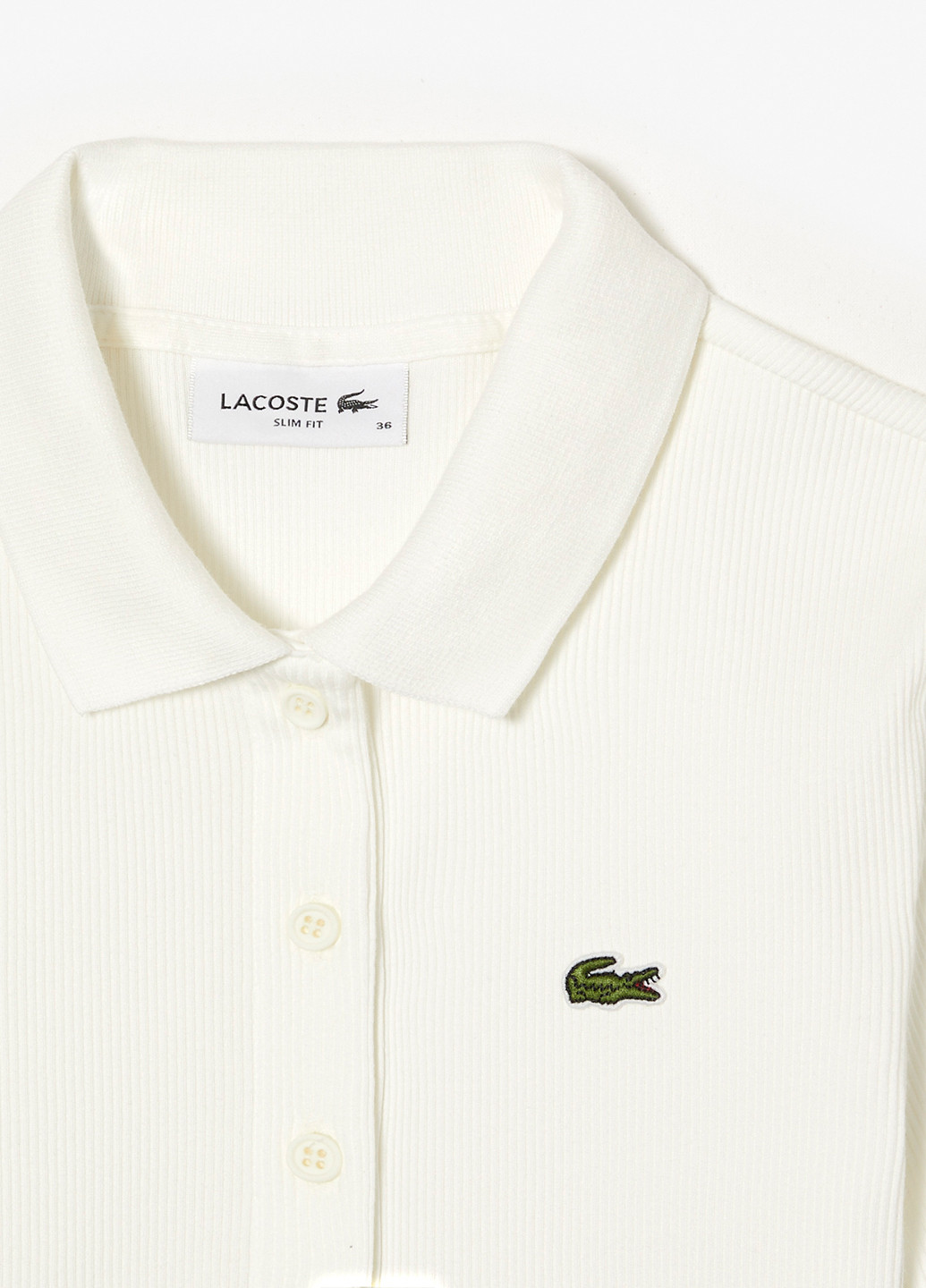 Поло Lacoste (298073919)