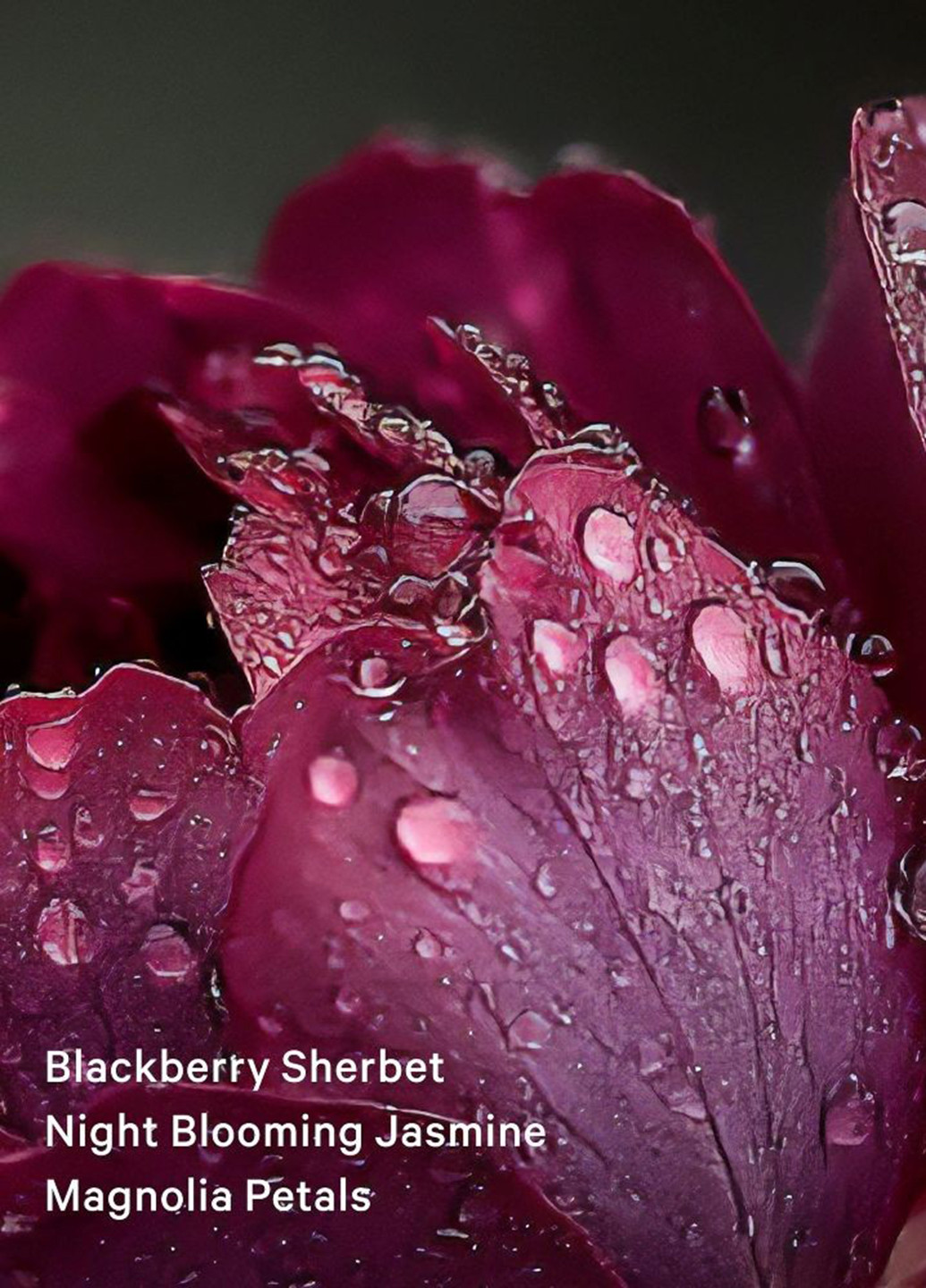 Набір для тіла Victoria's Secret (360802417)