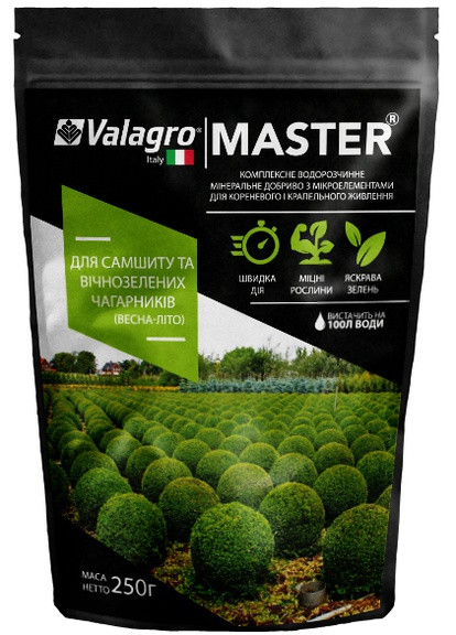 Удобрение Master (Мастер) для Самшита и вечнозеленых кустарников 250 г Valagro (253258720)