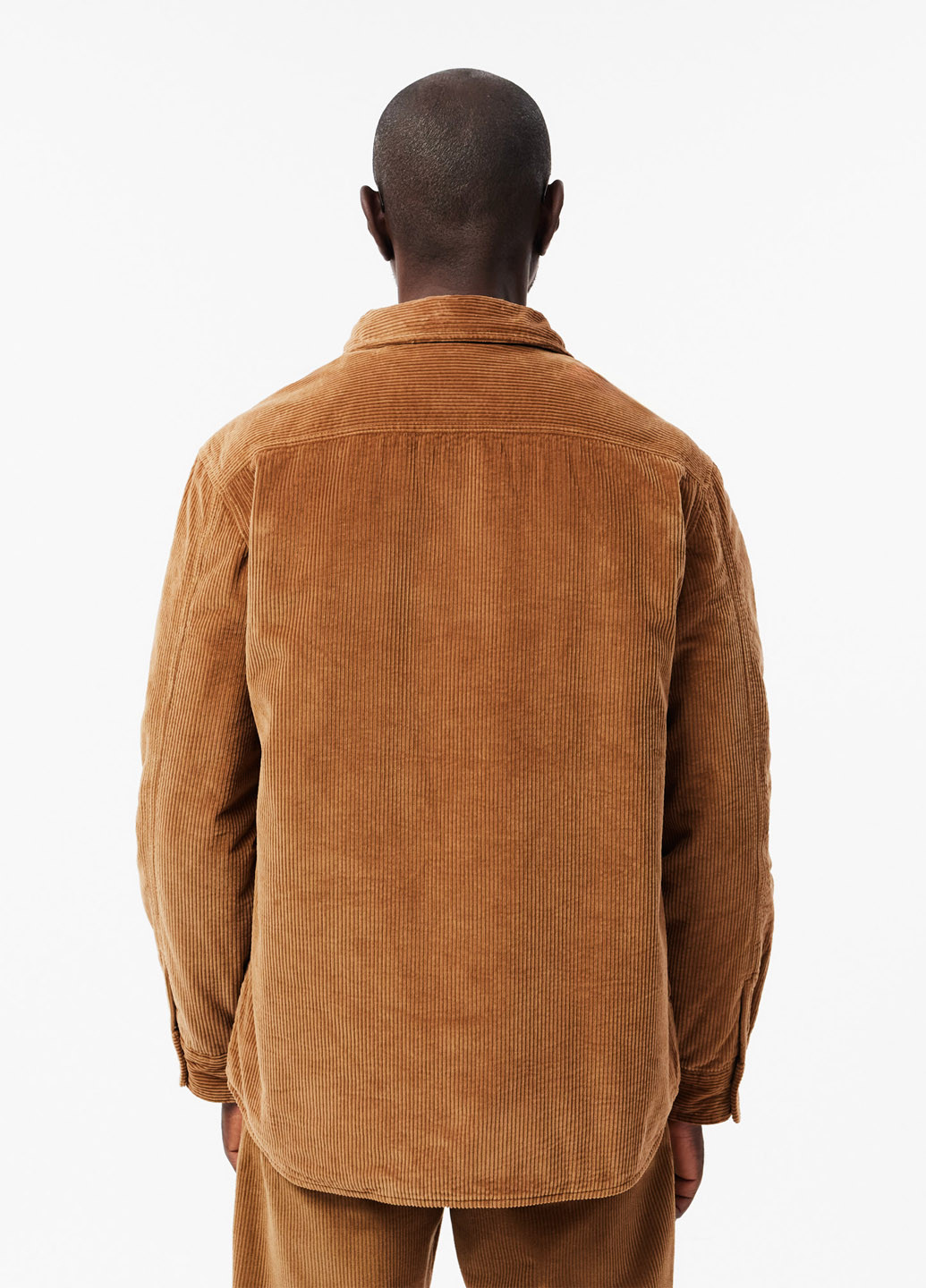 Сорочка Lacoste (363619774)