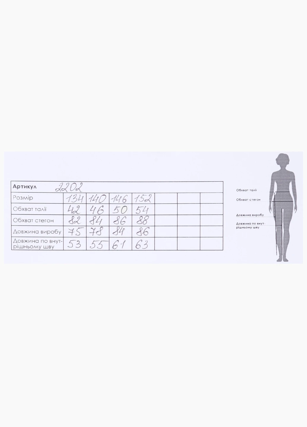 Черные спортивные демисезонные брюки Atescan
