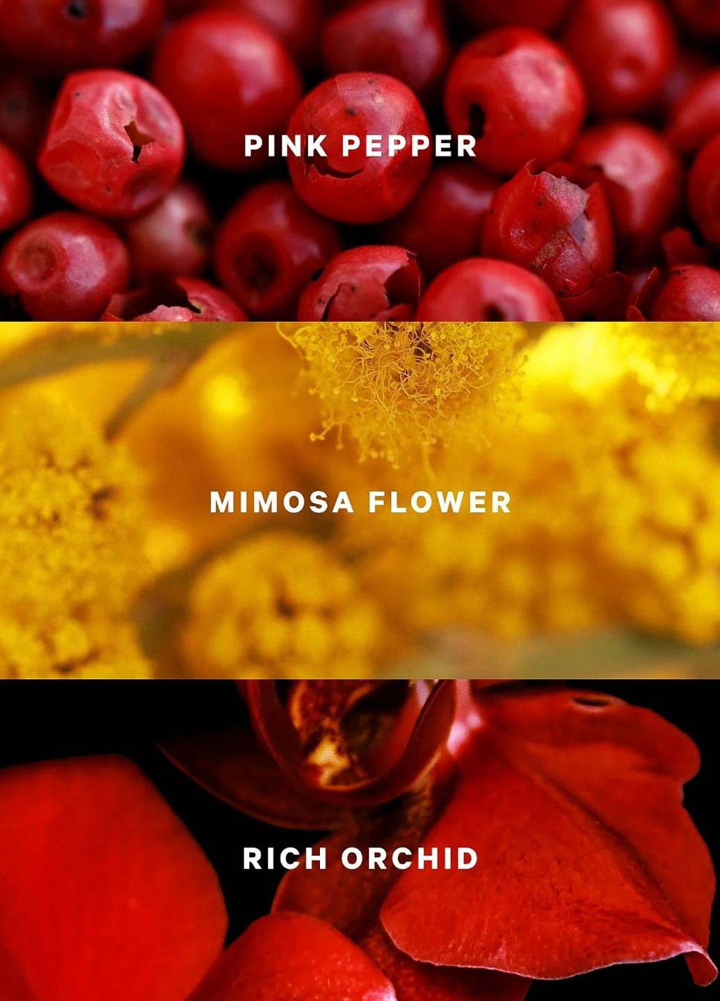 Парфумована вода Victoria's Secret (367098366)