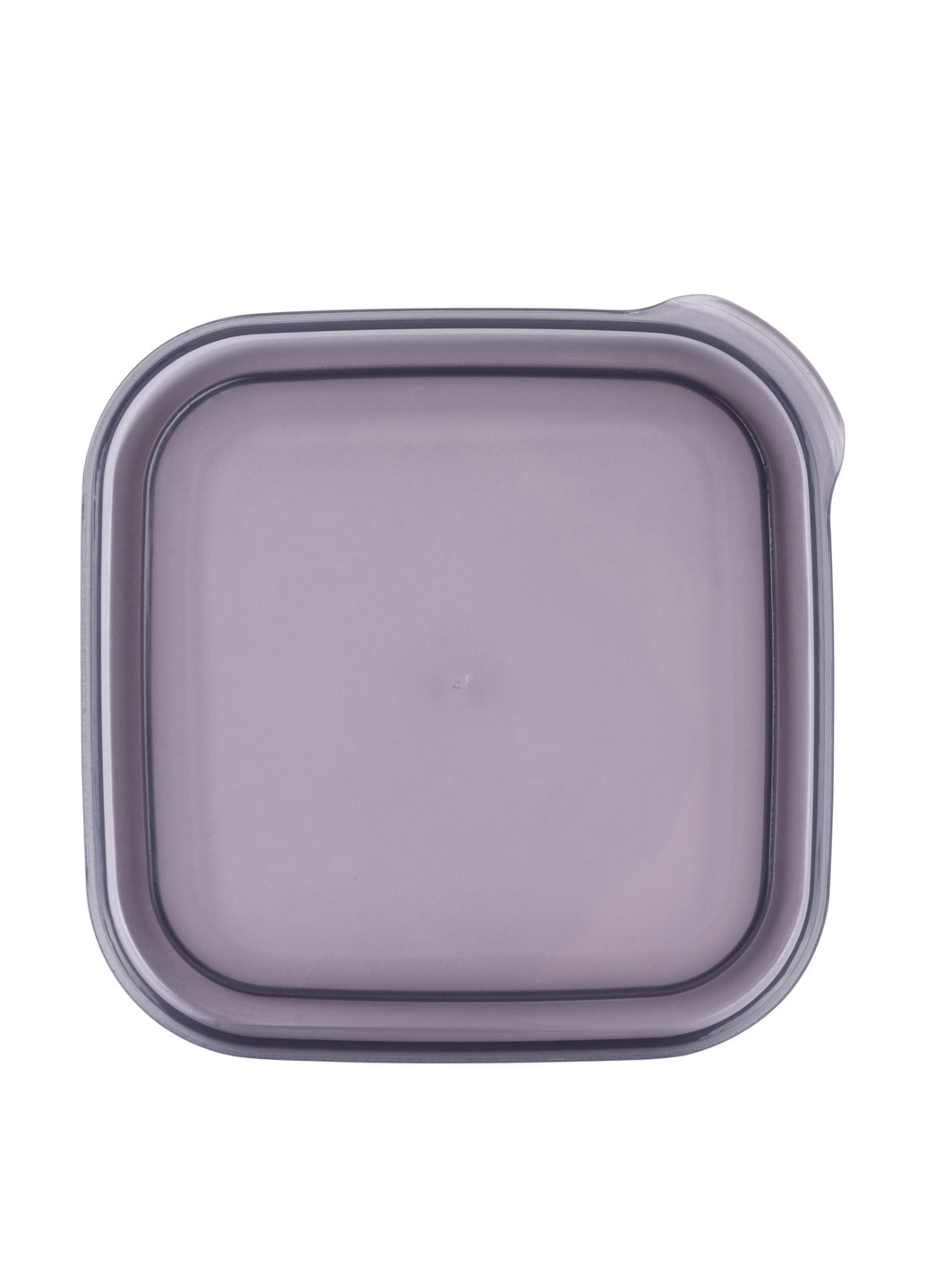 Харчовий контейнер, 0,5л Violet House (259016716)