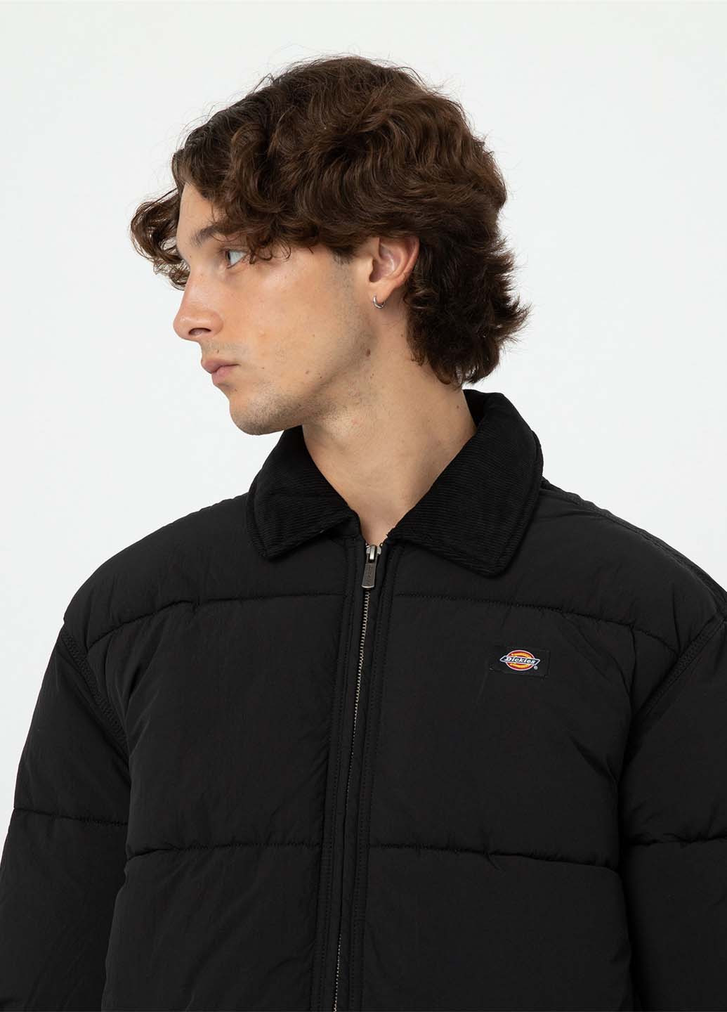 Чорна зимня куртка Dickies