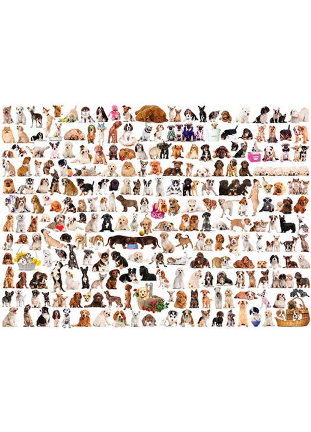Пазл Мир собак, 1000 элементов (6000-0581) Eurographics (249984272)