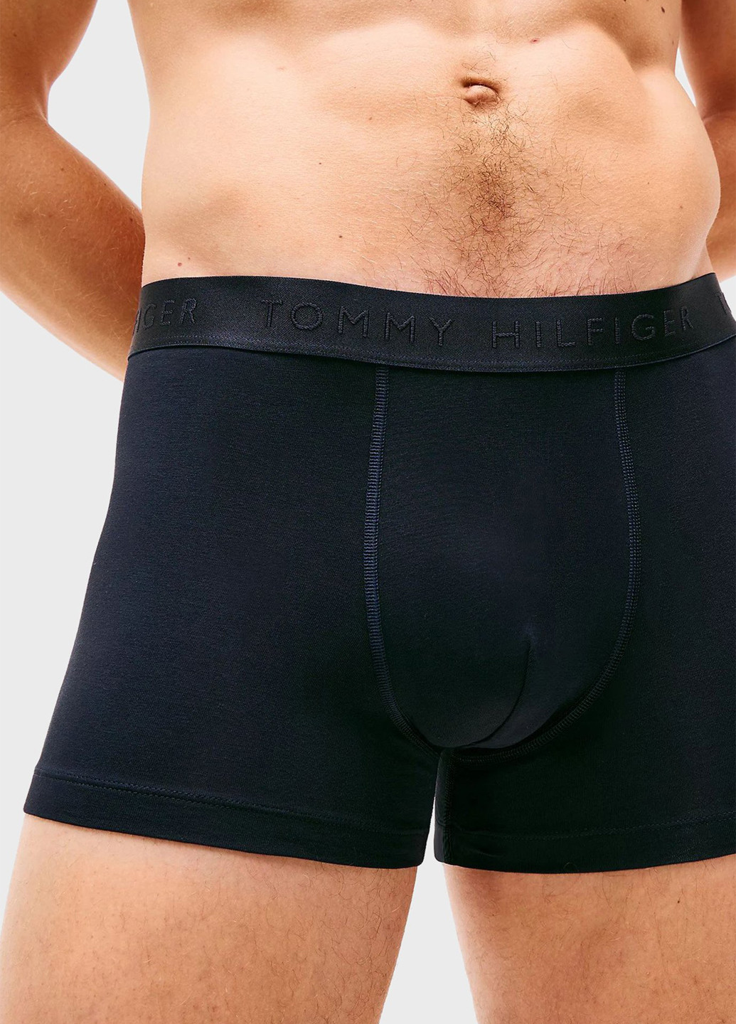 Труси (3 шт.) Tommy Hilfiger (347246579)