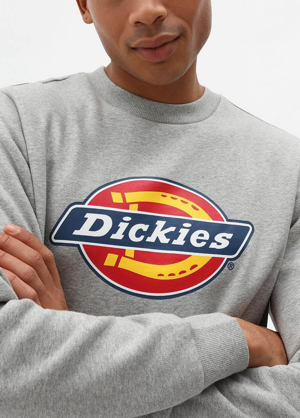 Серый свитшот Dickies логотип без декора (328719868)