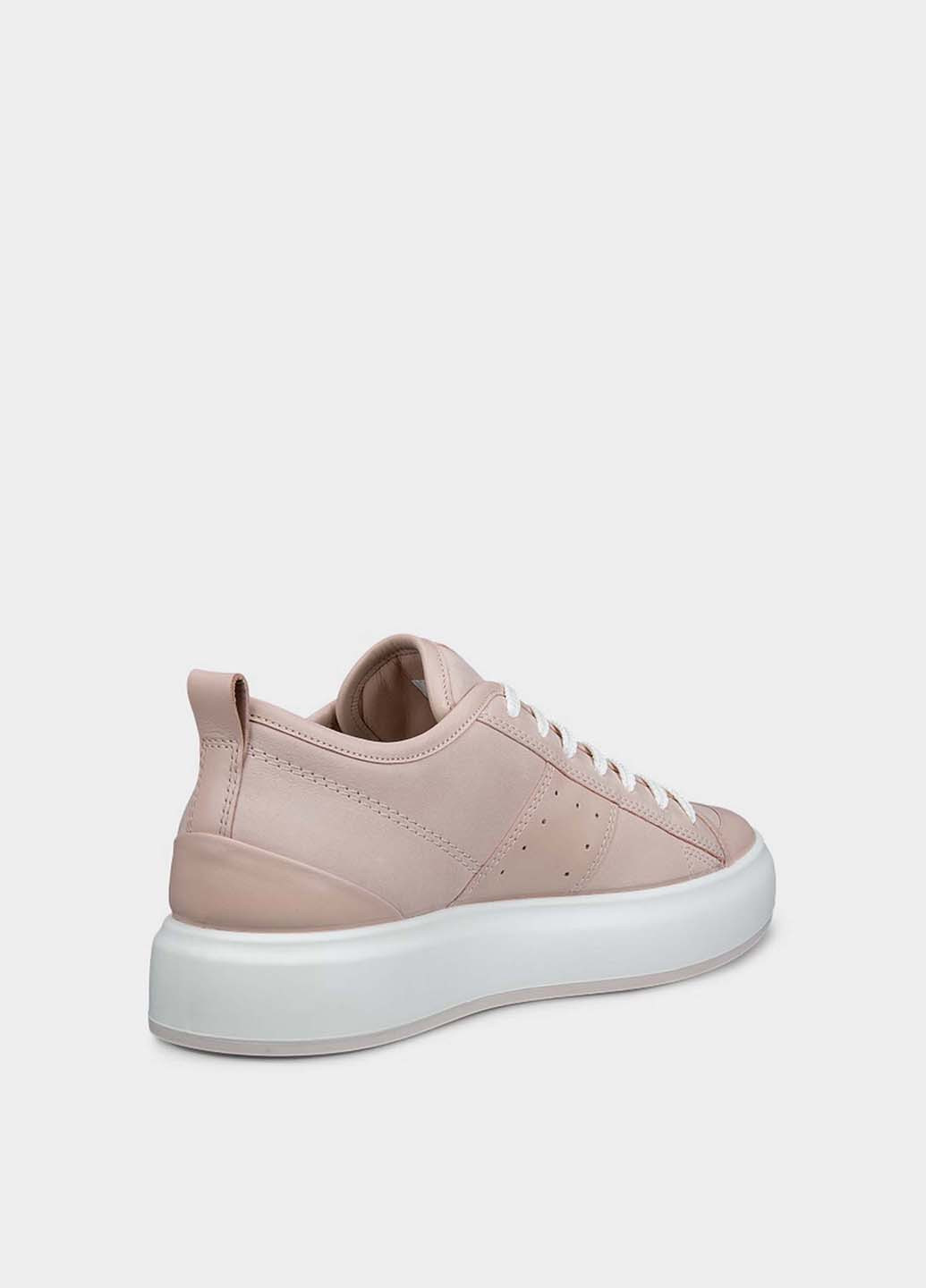 Пудрові кеди Ecco