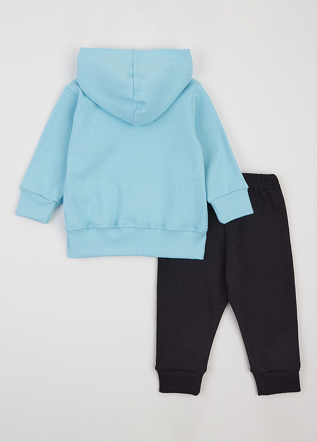 Костюм (толстовка, брюки) Flamingo (361966592)